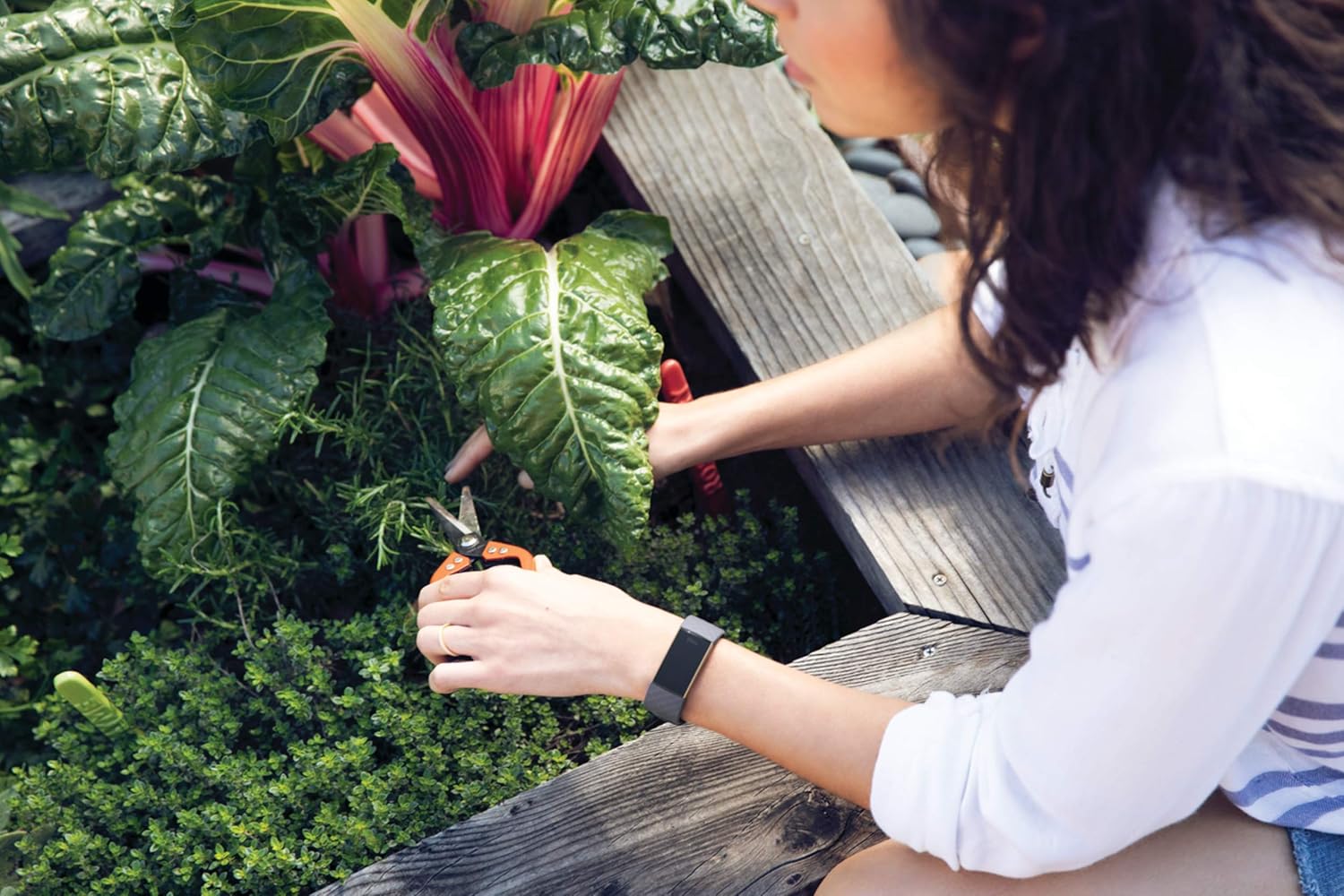 Fitbit Charge 3 Fitness Activity Tracker - Image 7